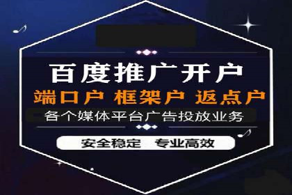 网站SEM托管服务客户案例分享